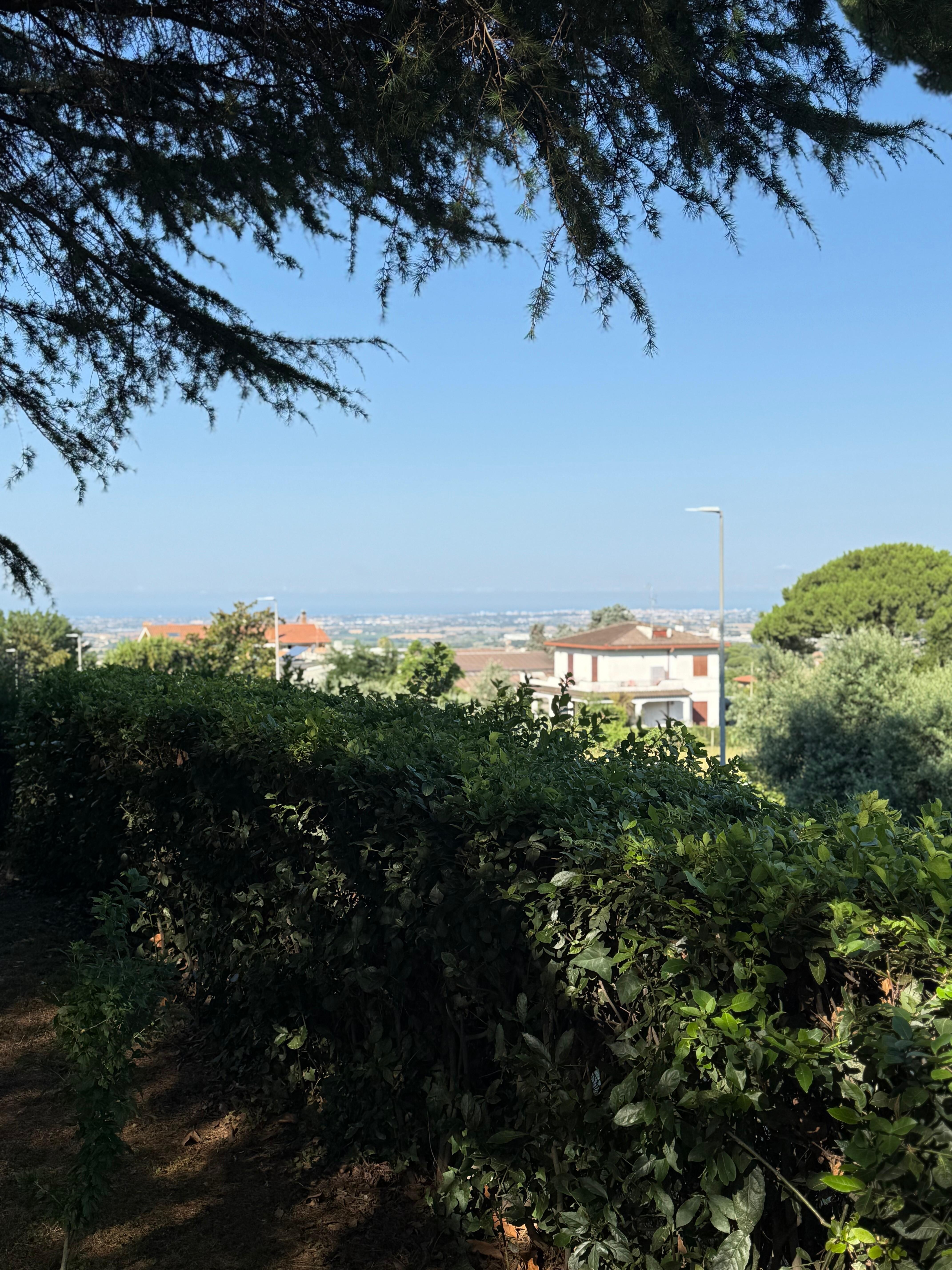 View from the garden, looking West