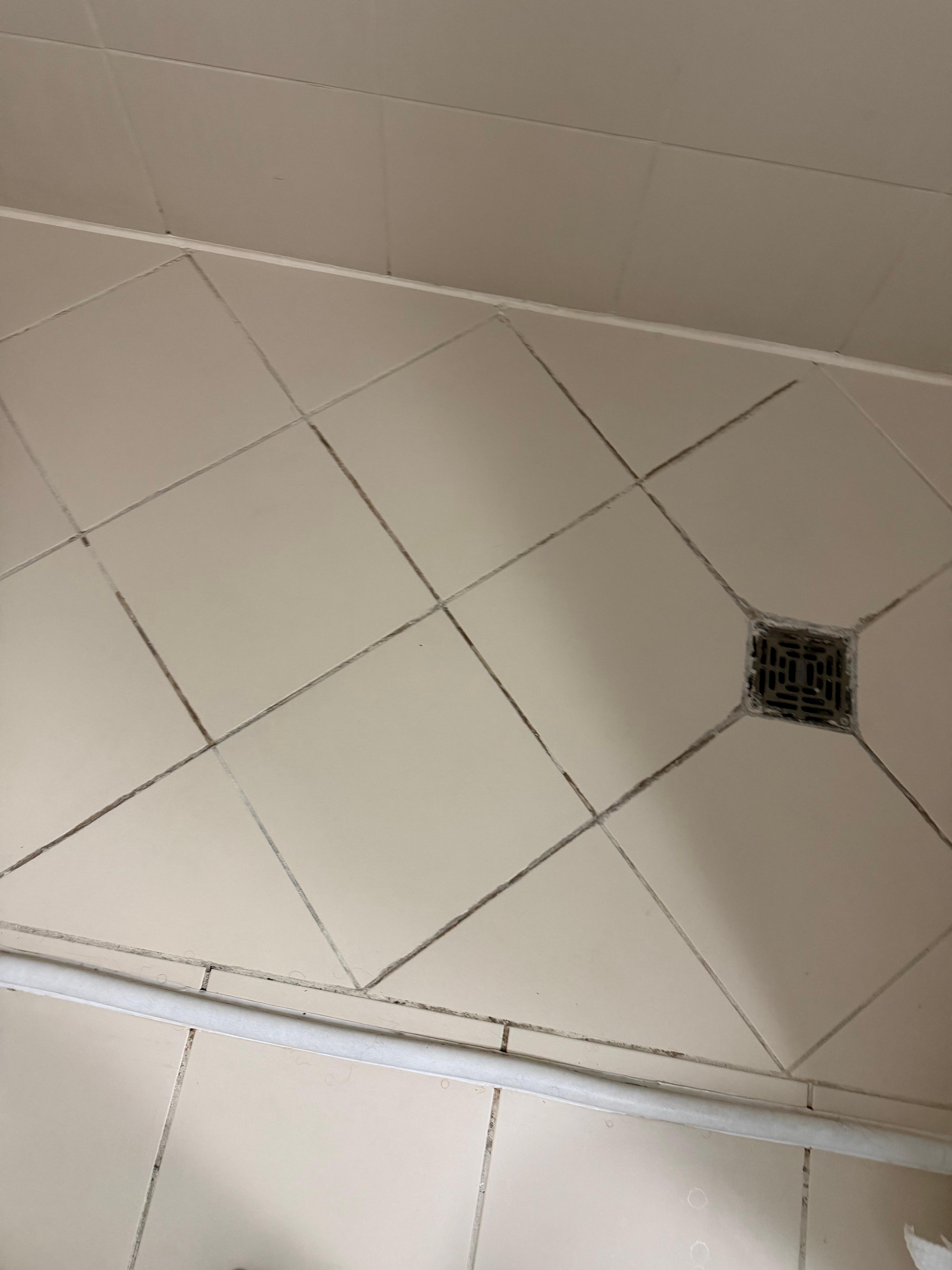 Shower full of mold and hair