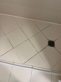 Shower full of mold and hair