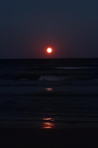 Beautiful photo of the sturgeon moon from the beach access point