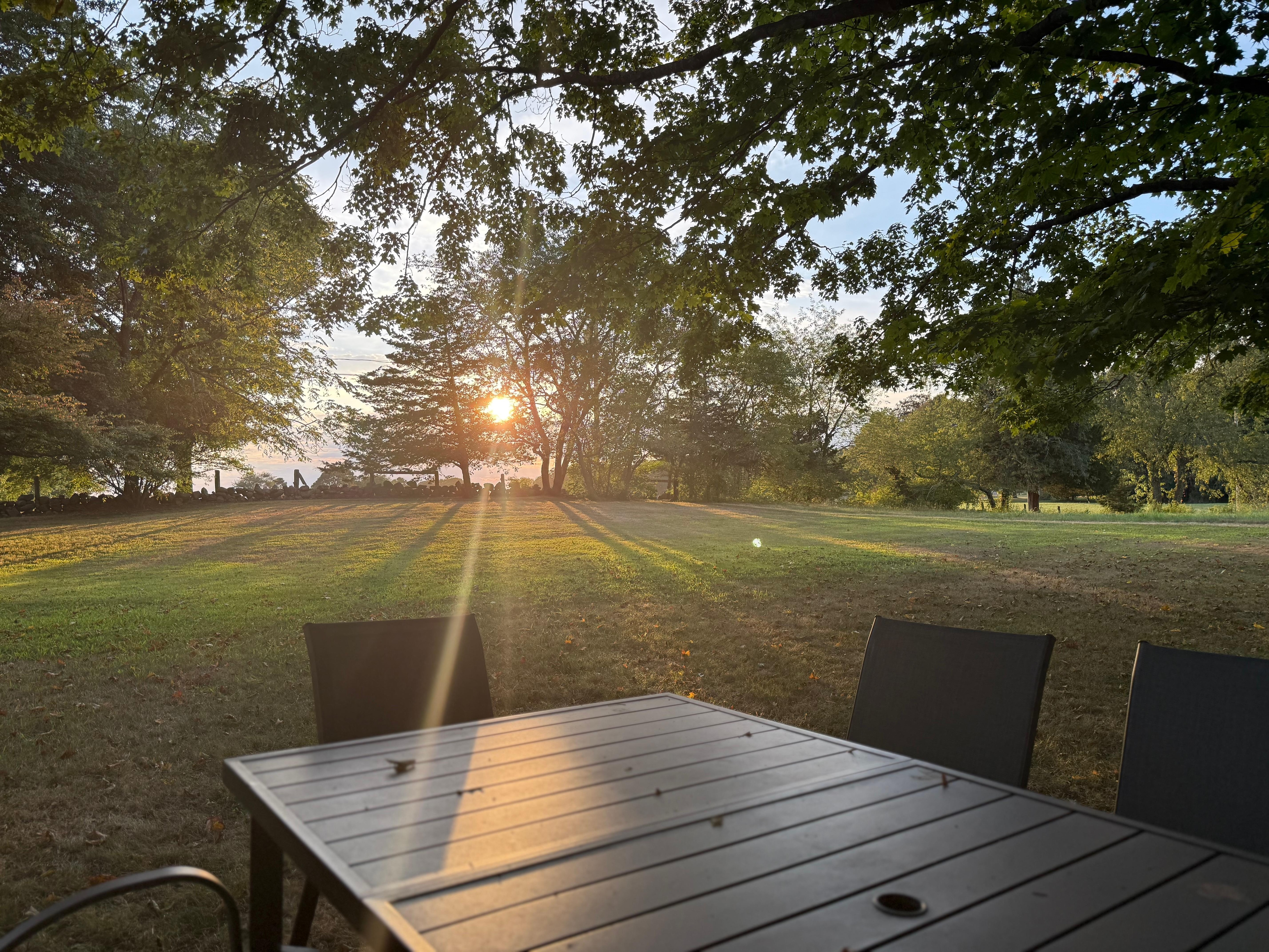 Backyard sunset view
