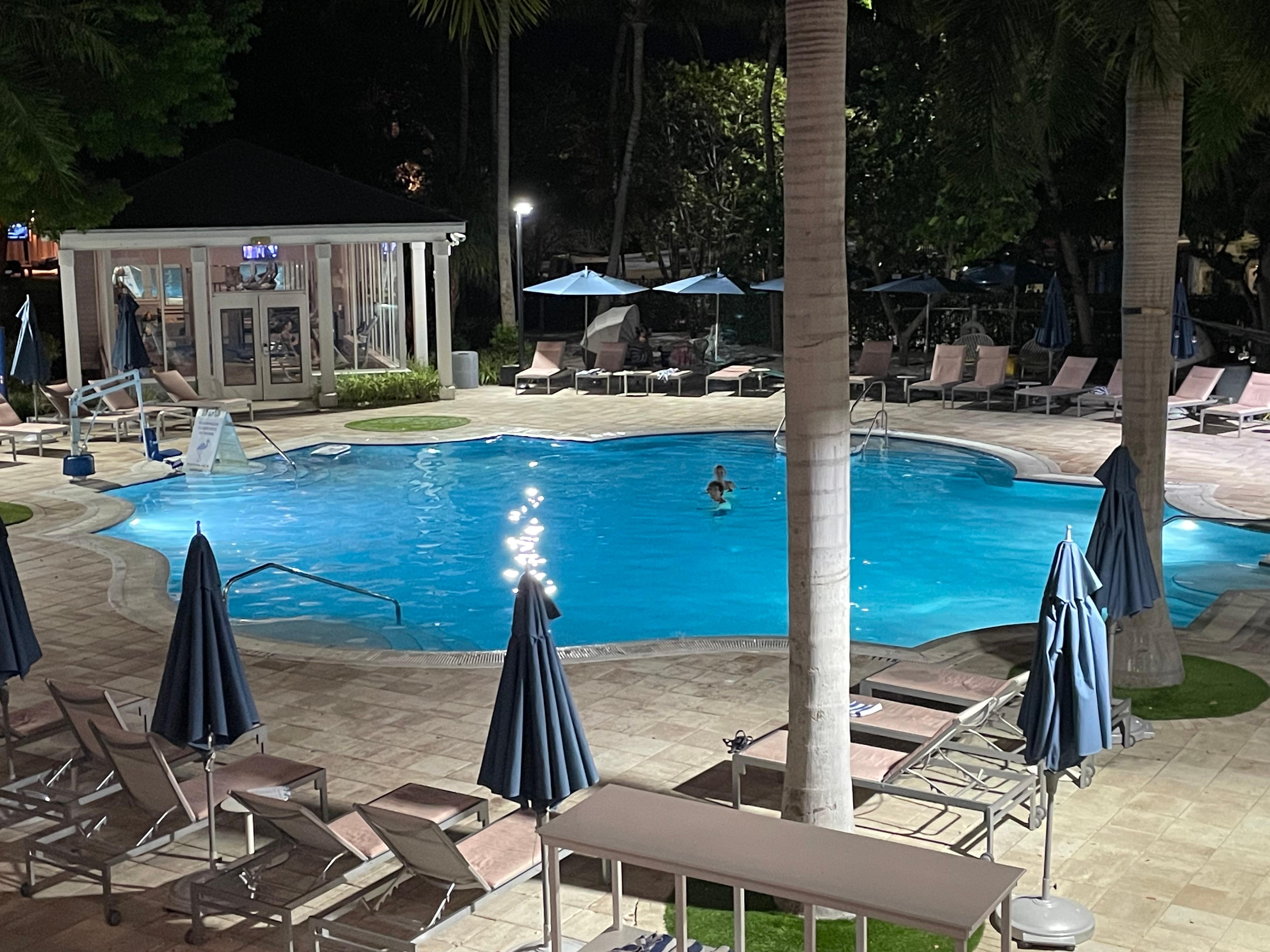 Coconut pool 