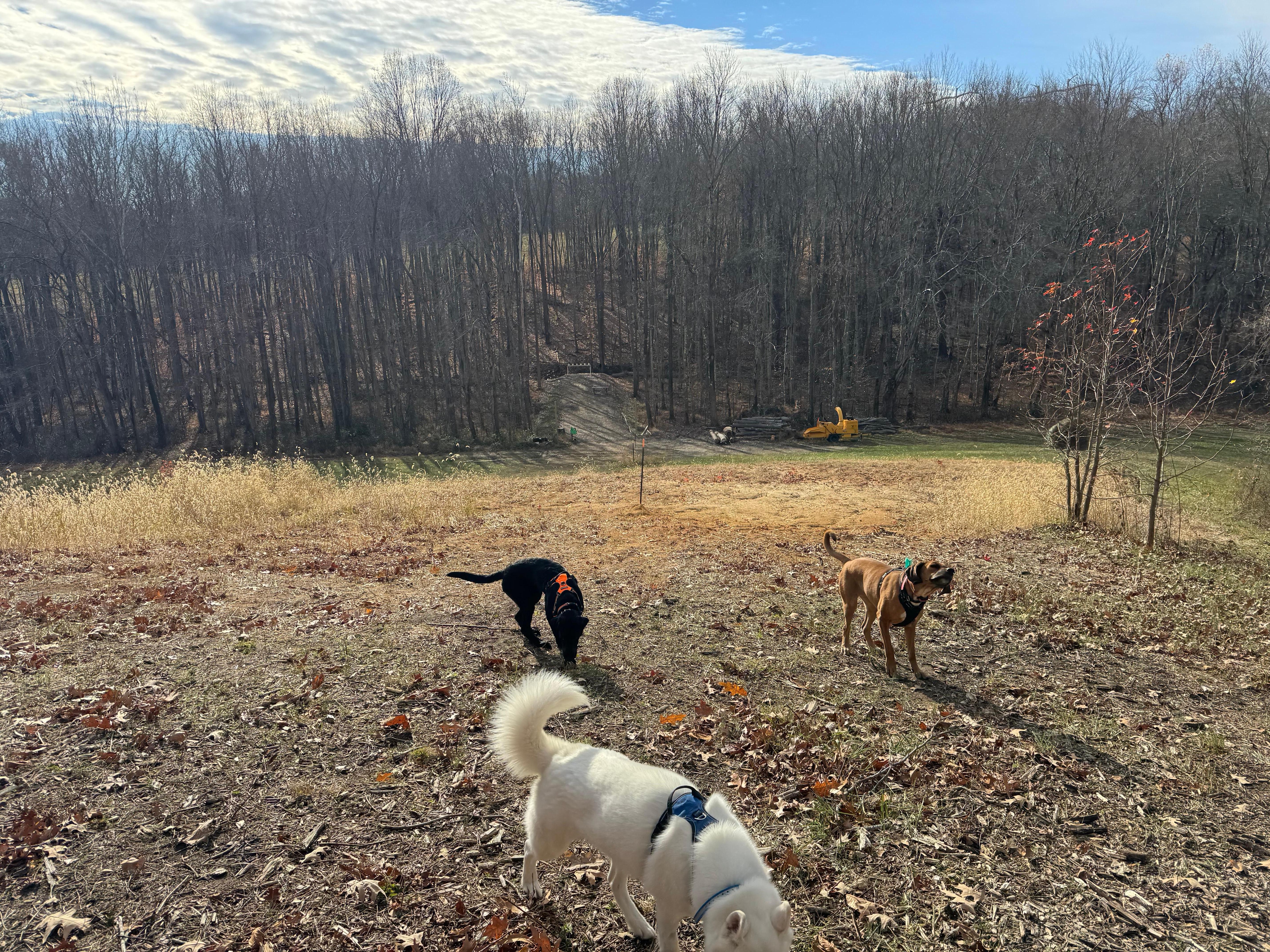 Walking trail on property. This is maybe 1/3 mile from cottage 