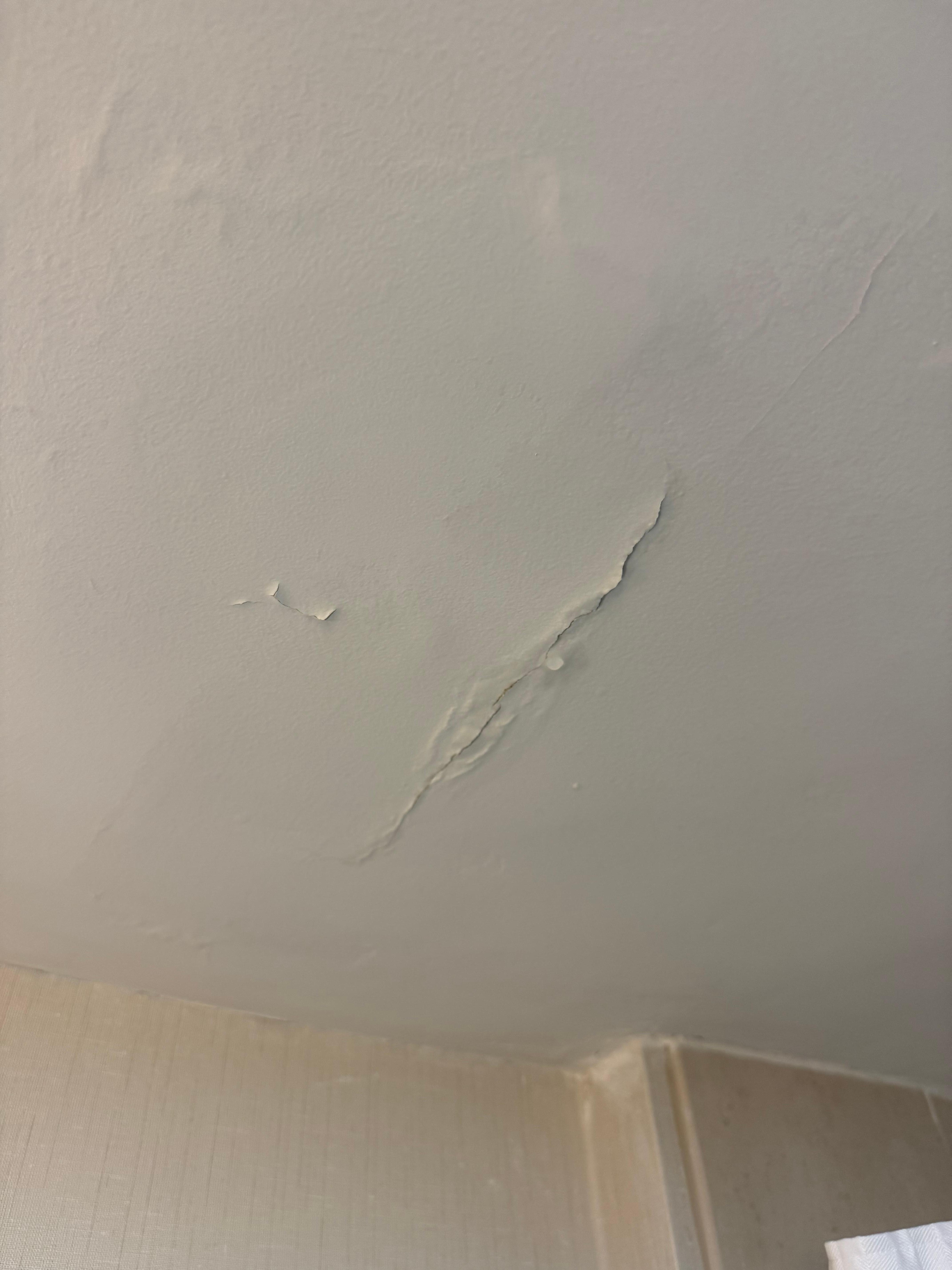 Ceiling leak