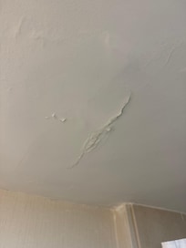 Ceiling leak