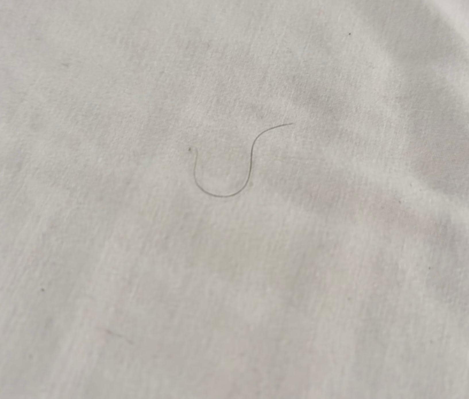 Pubic hairs 