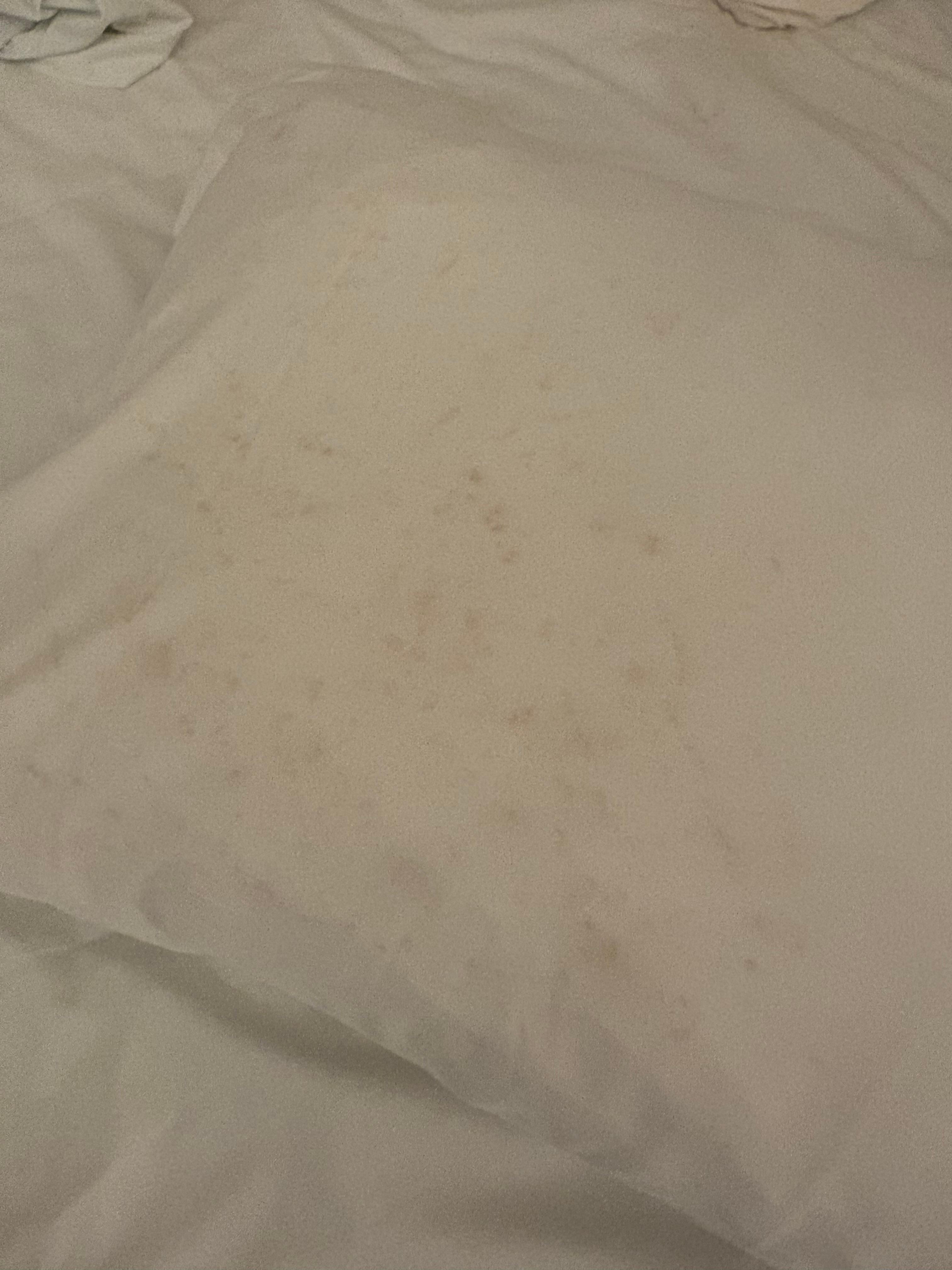 Mold on pillows