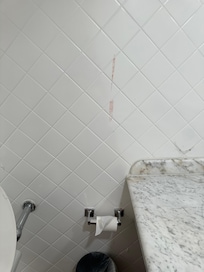 Blood stains on the wall