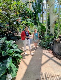 Butterfly Garden