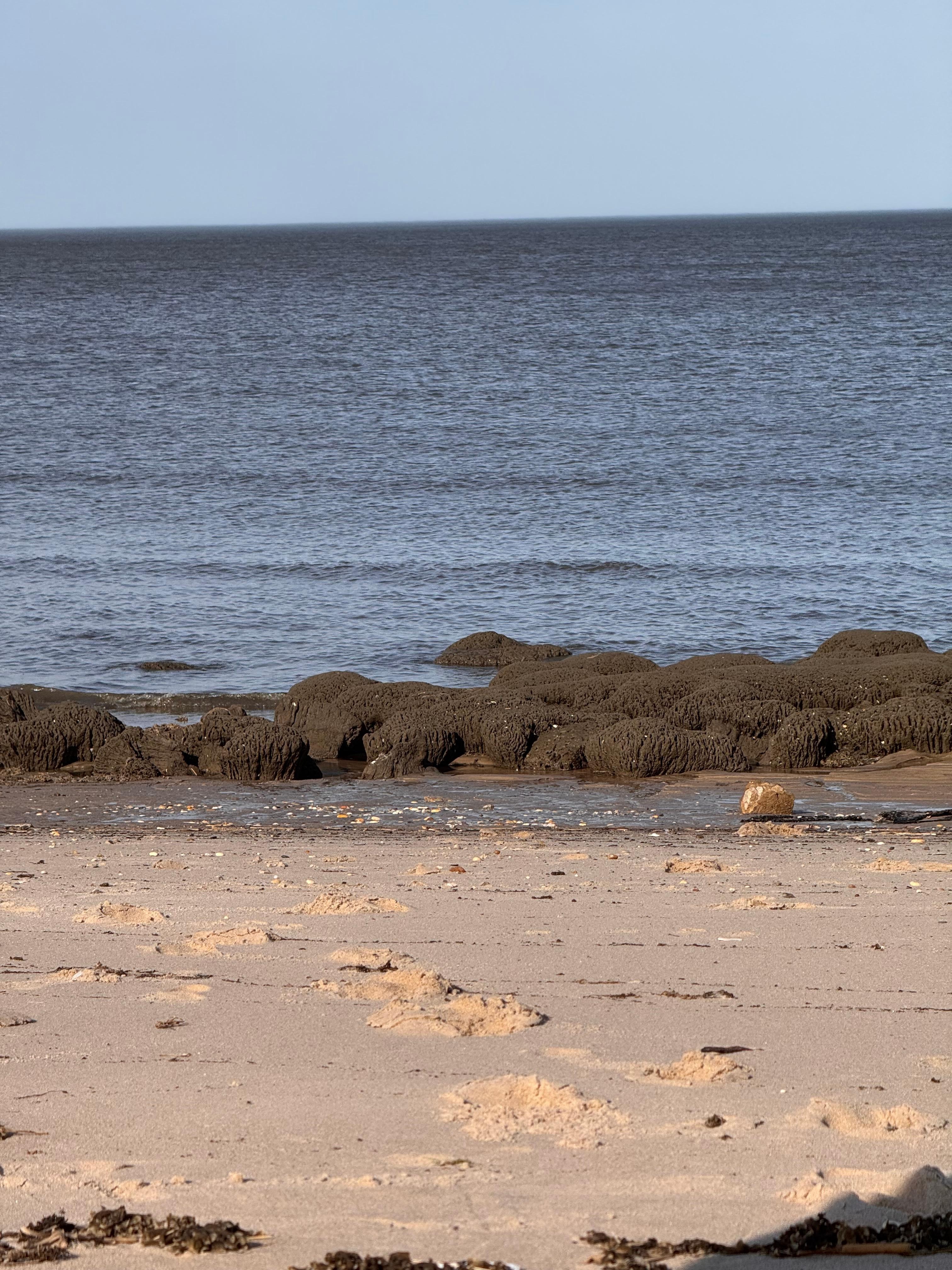 Afternoon on the beach. 