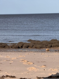 Afternoon on the beach.