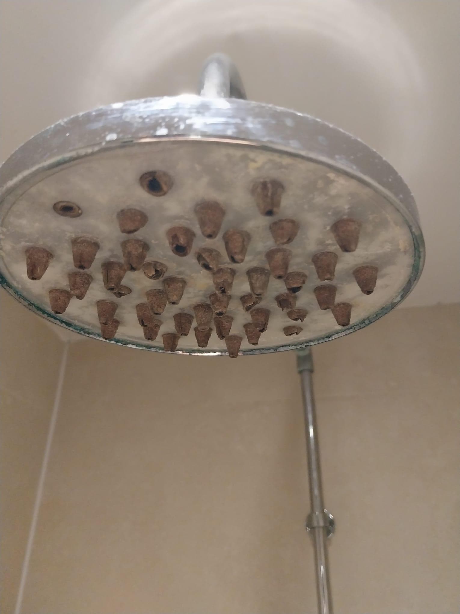 Worn our dirty shower head