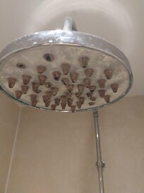 Worn our dirty shower head
