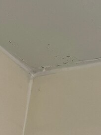 Bath ceiling peeling paint