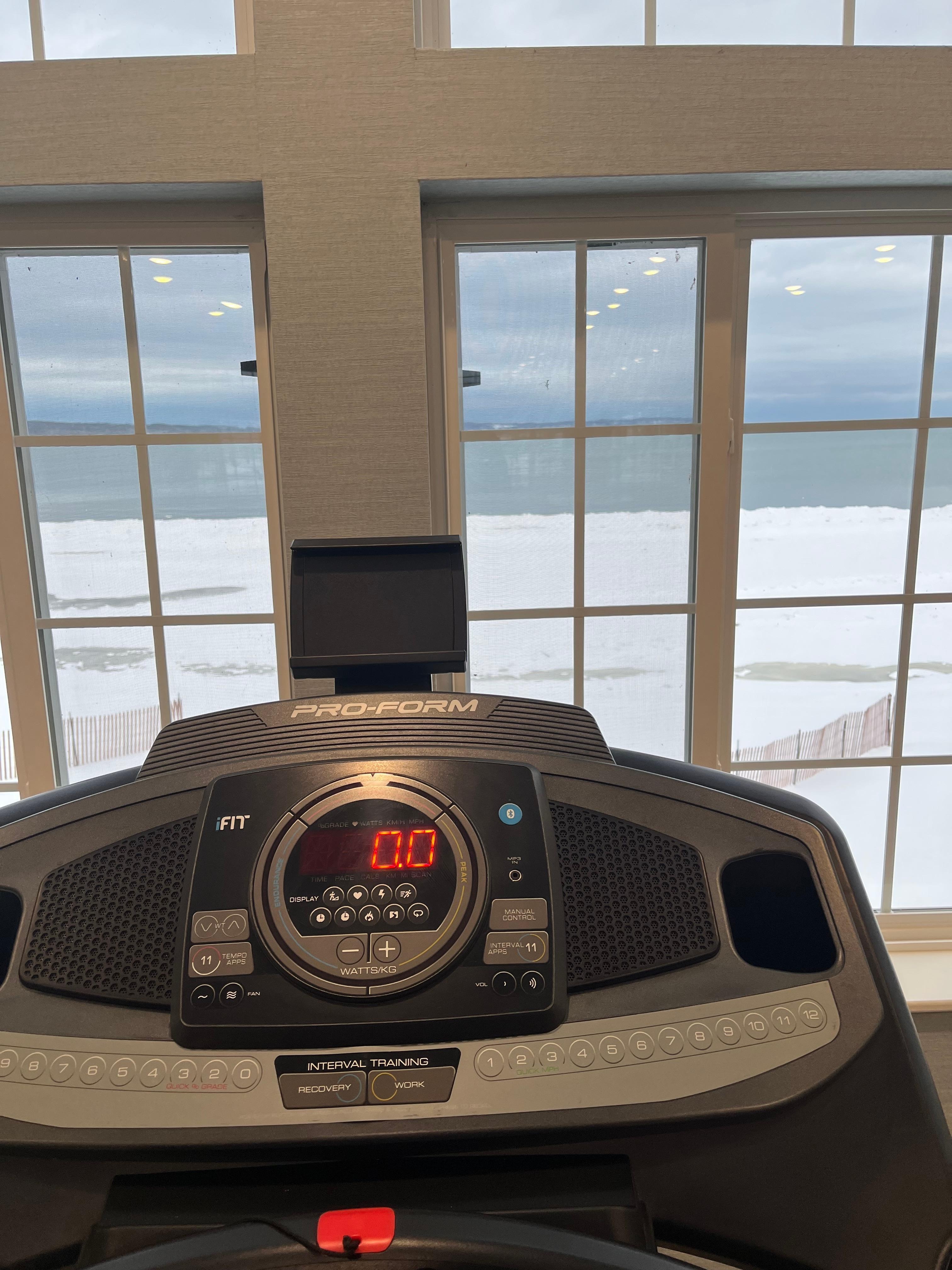 View from the treadmill. 