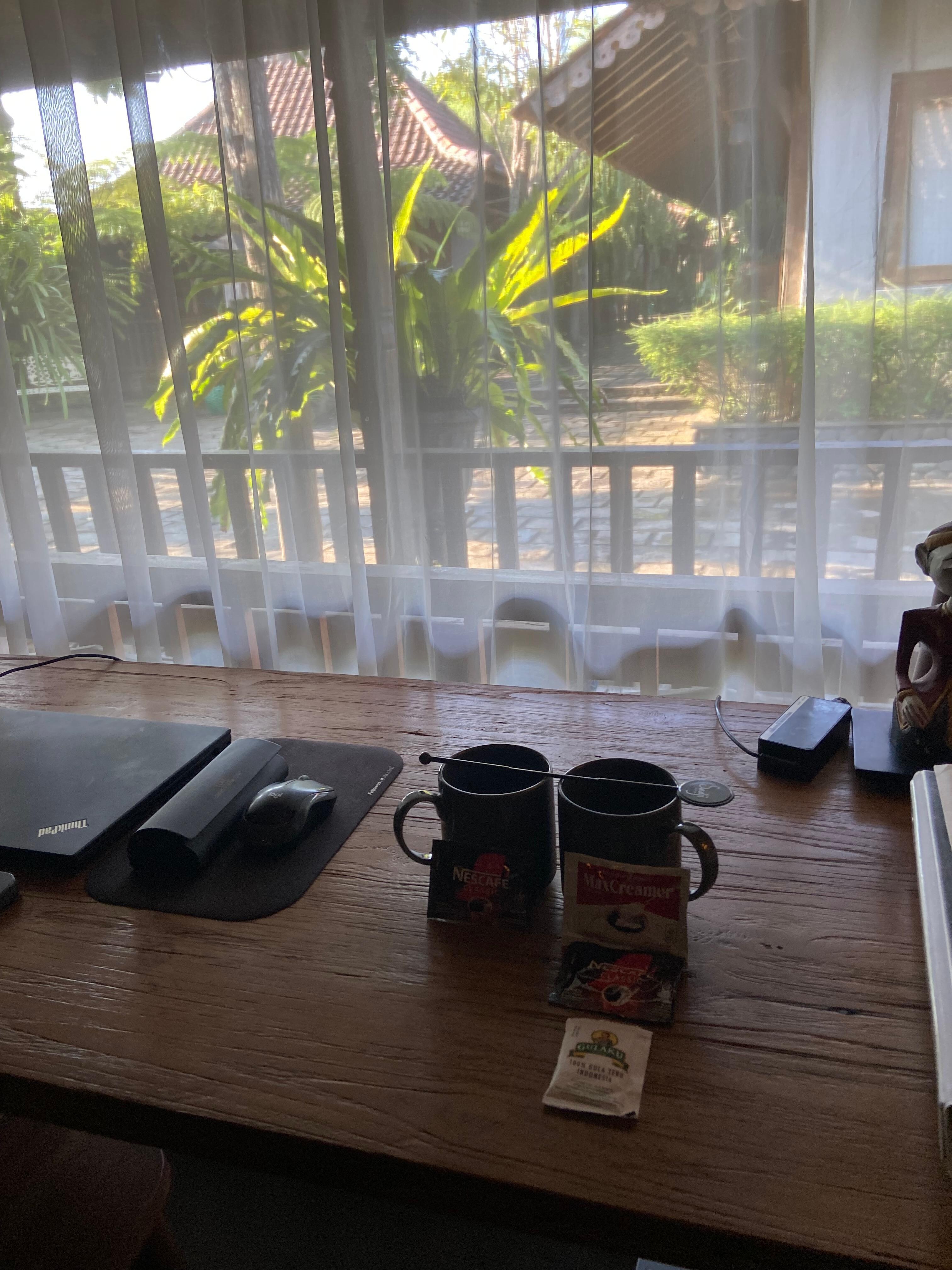 Nice view while working