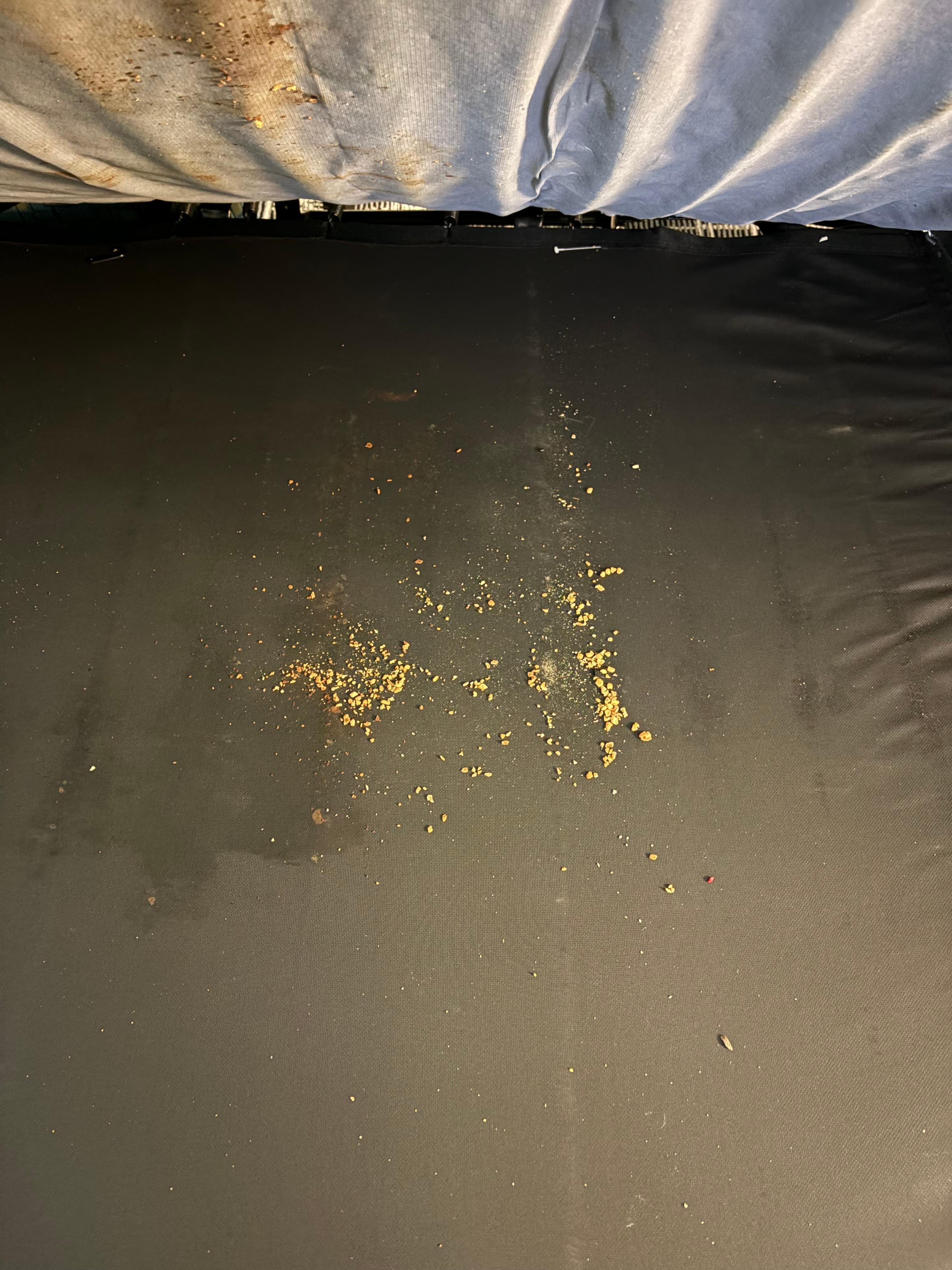 Pull out bed base