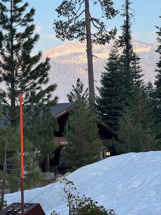 mountain views behind the lodge