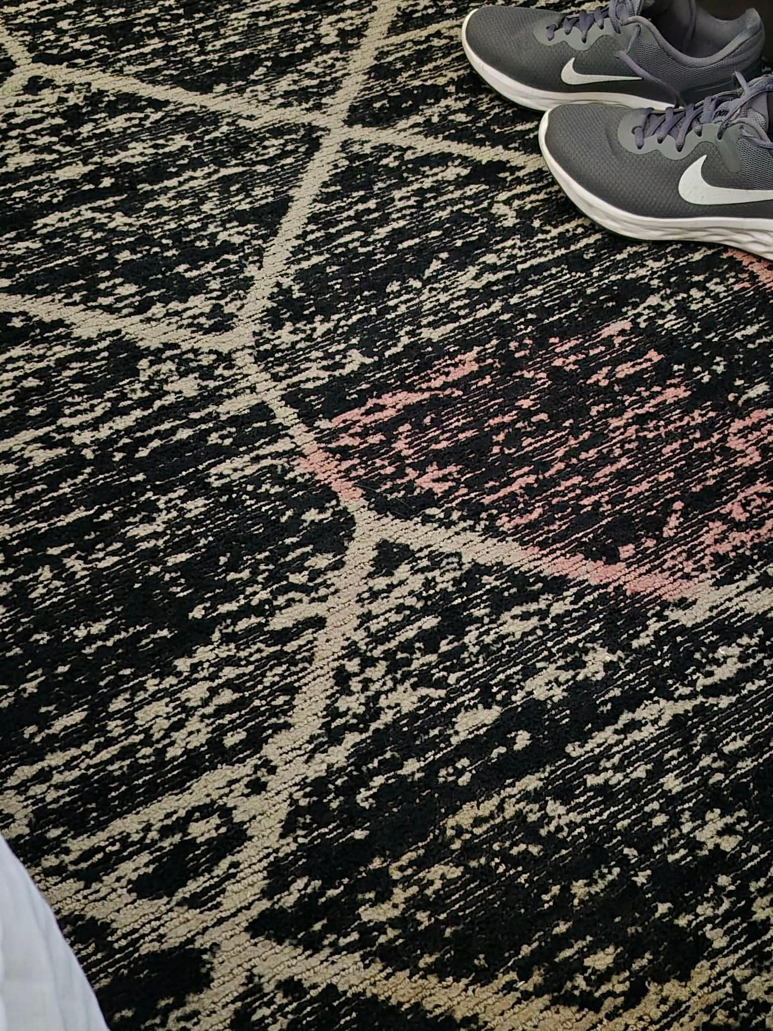 Stained Carpet
