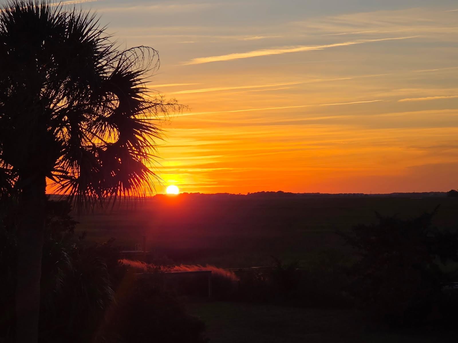 The marsh at sunset.