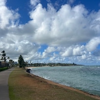 View looking north of Kapa’a beach