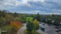 Room view
