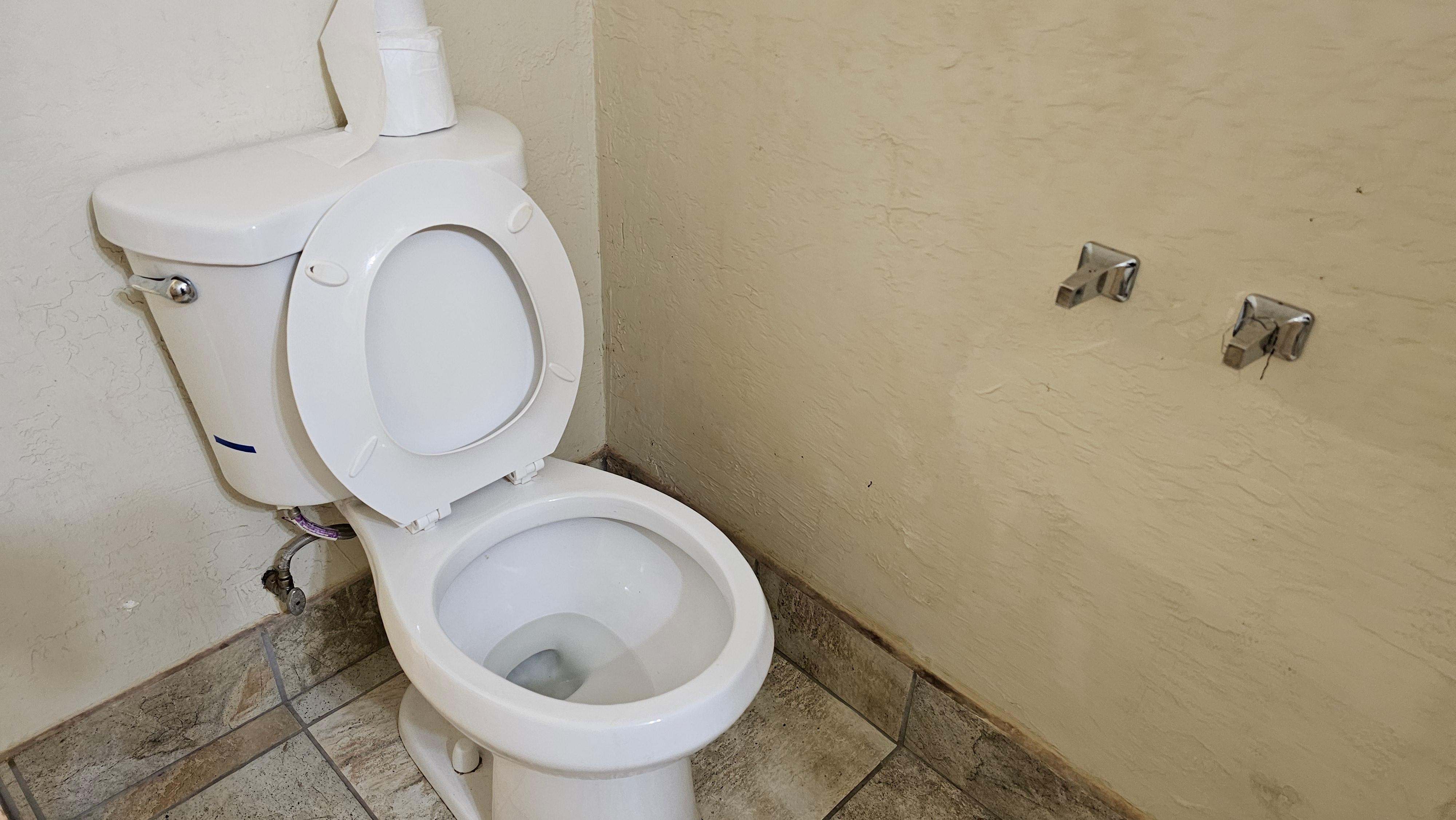 No TP holder