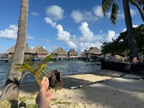 Beach and snorkeling area