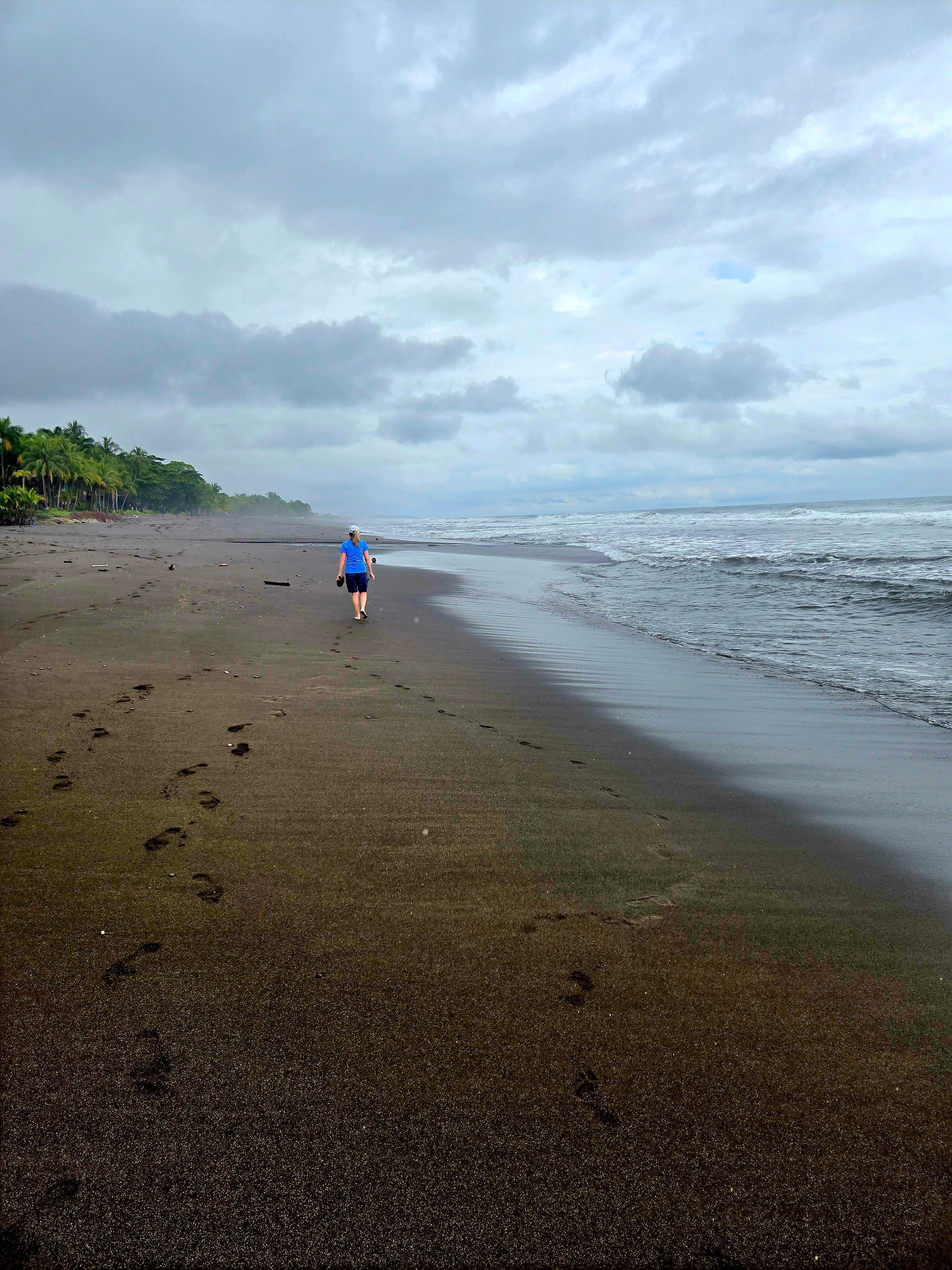 Beach in front of the house.