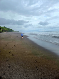 Beach in front of the house.