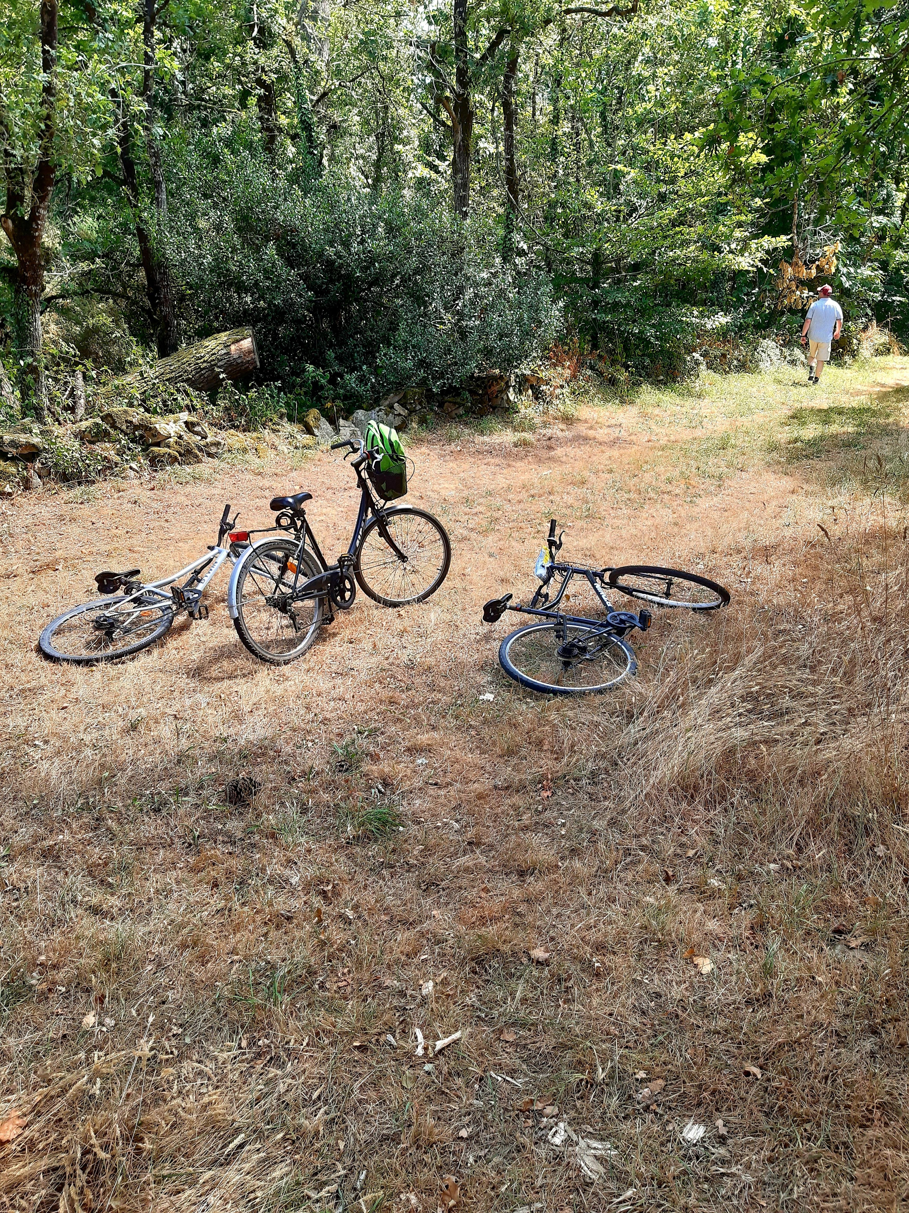 Per Fahrrad im Wald unterwegs