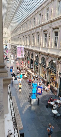 Vista desde la habitación