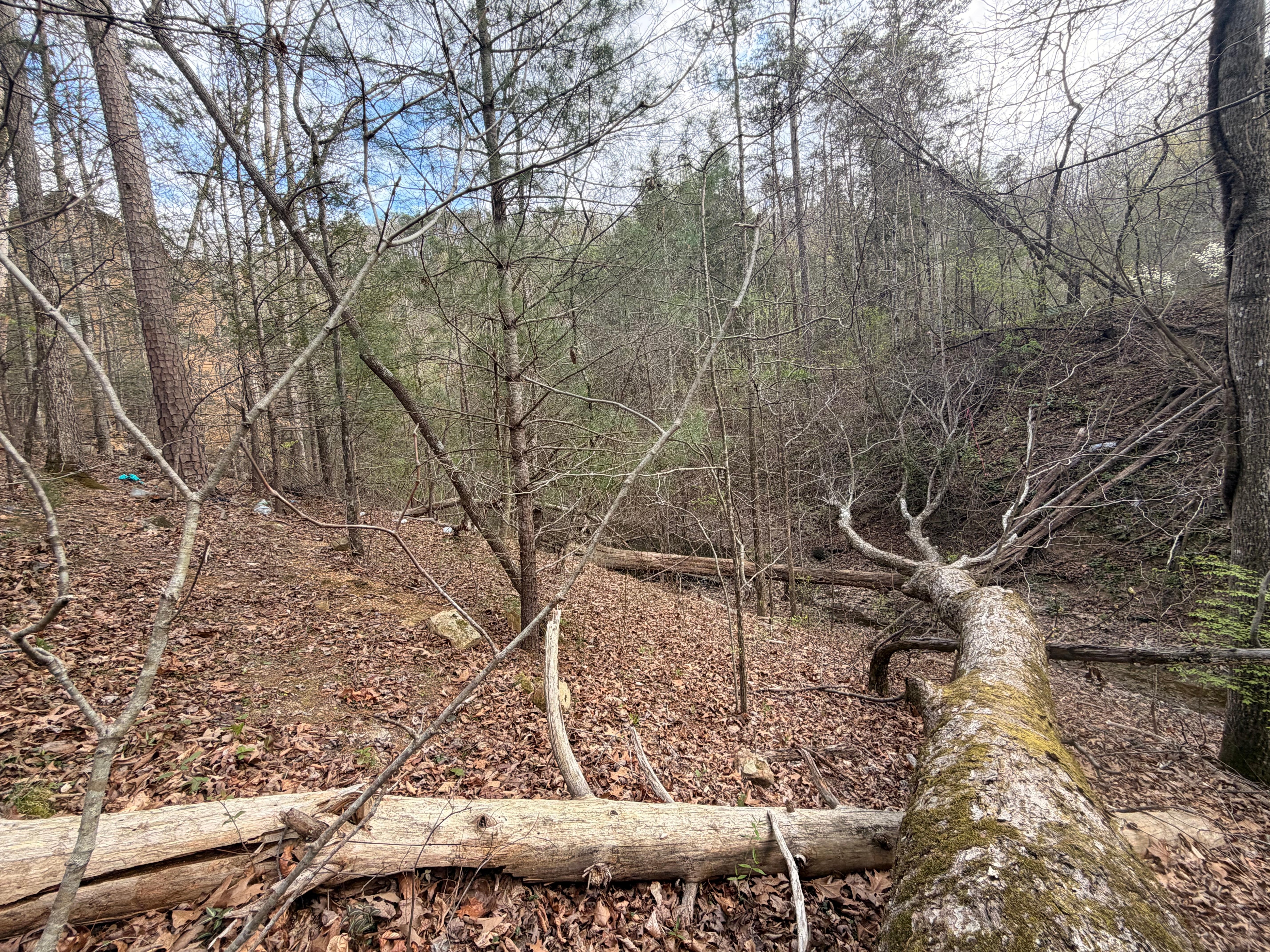 Land the cabin is on