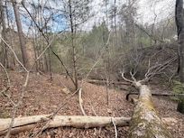 Land the cabin is on