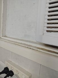 Mould