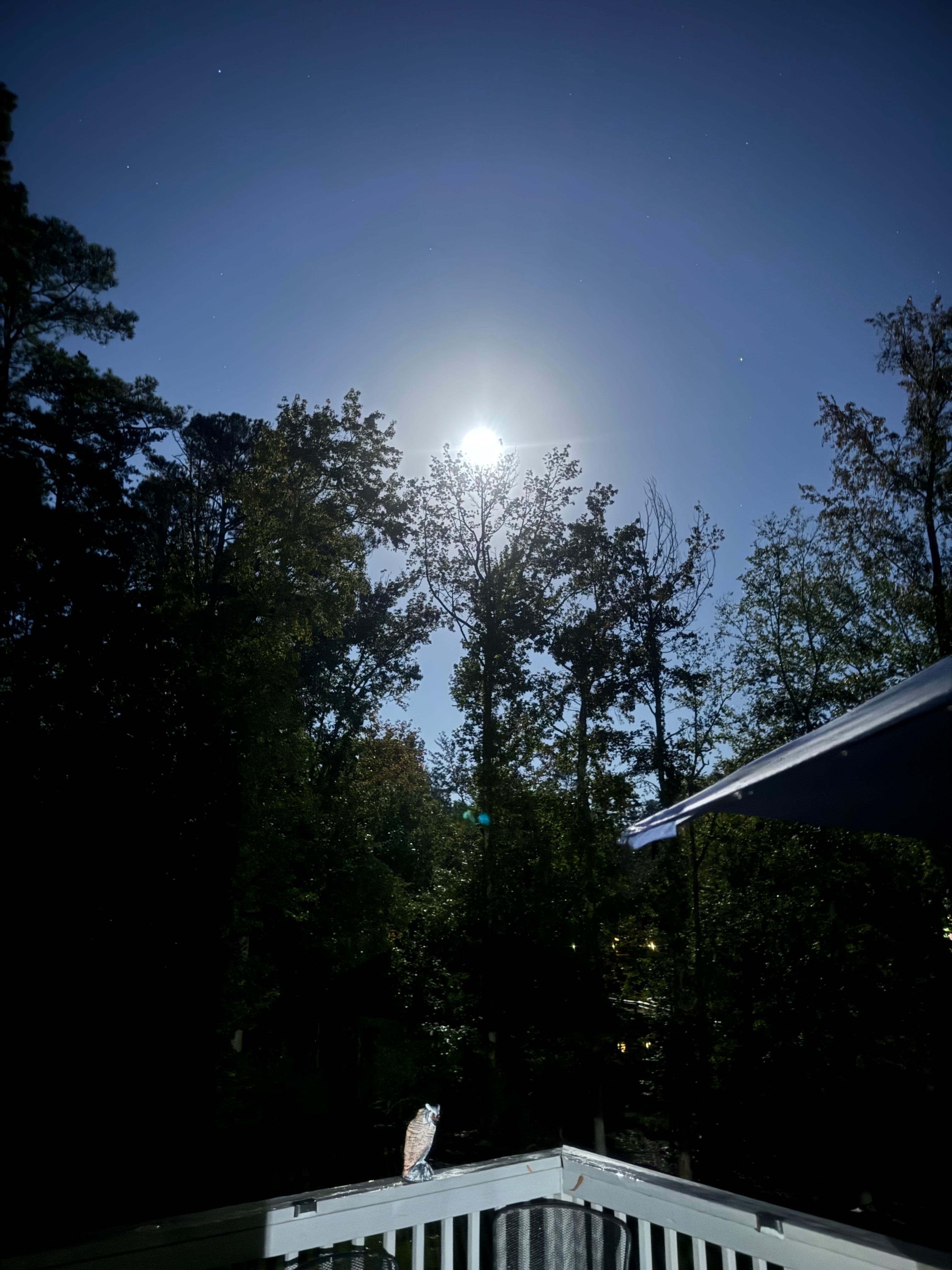Harvest moon from the deck.