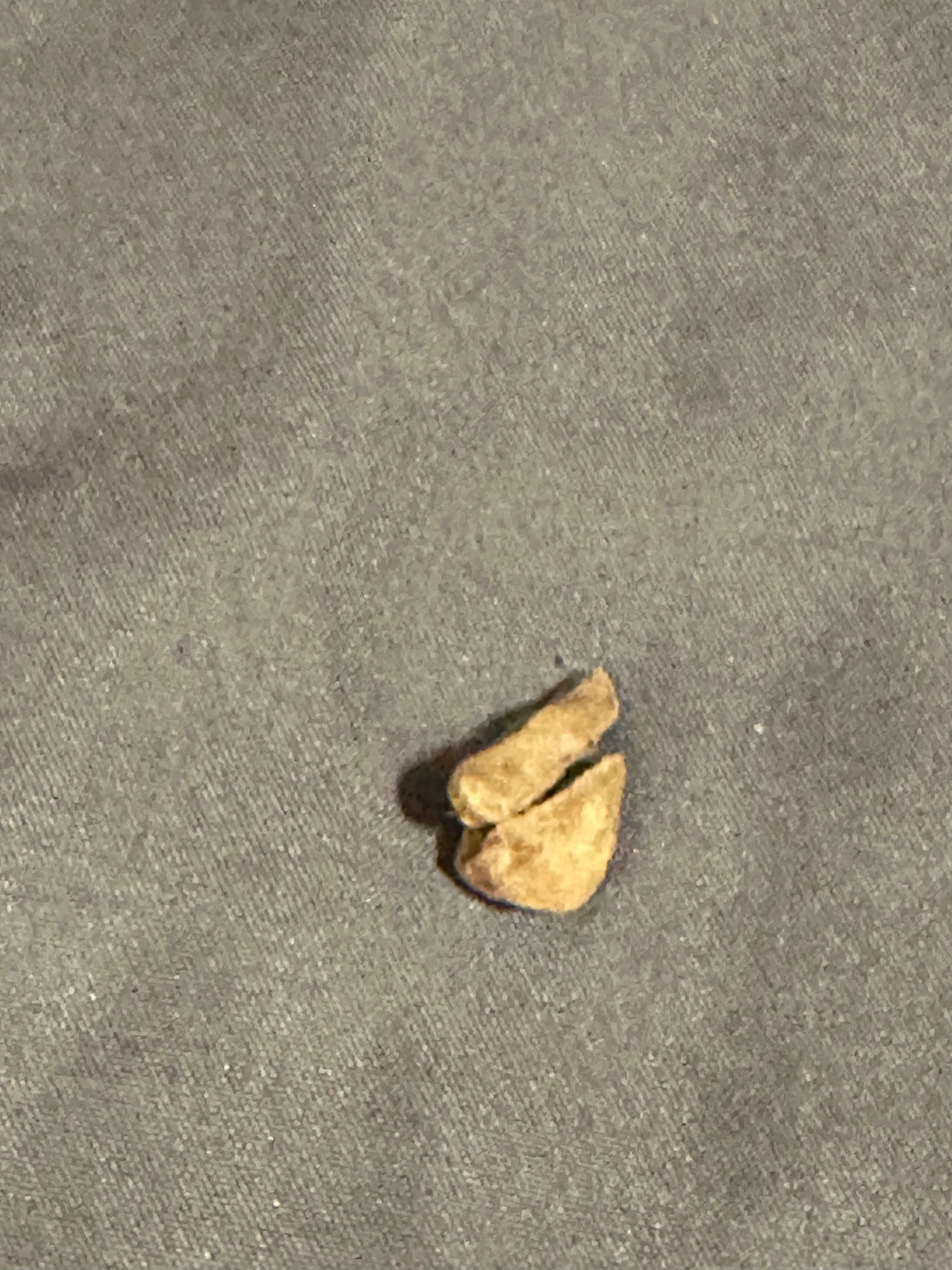 This was in the bed upon arrival under the blanket.