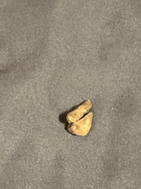 This was in the bed upon arrival under the blanket.