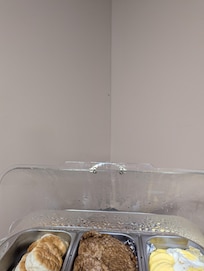 Little roach on wall in breakfast area