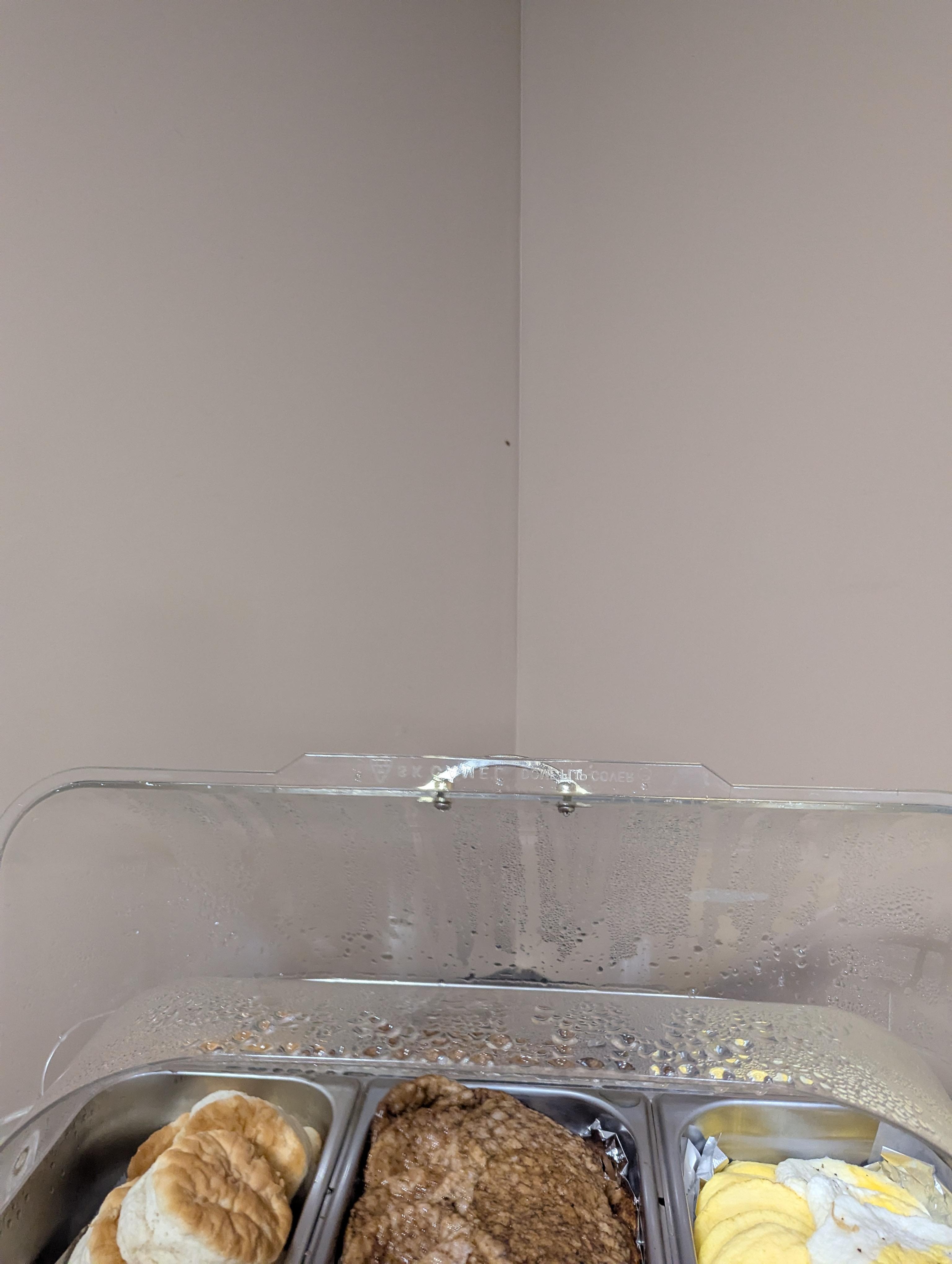 Little roach on wall in breakfast area