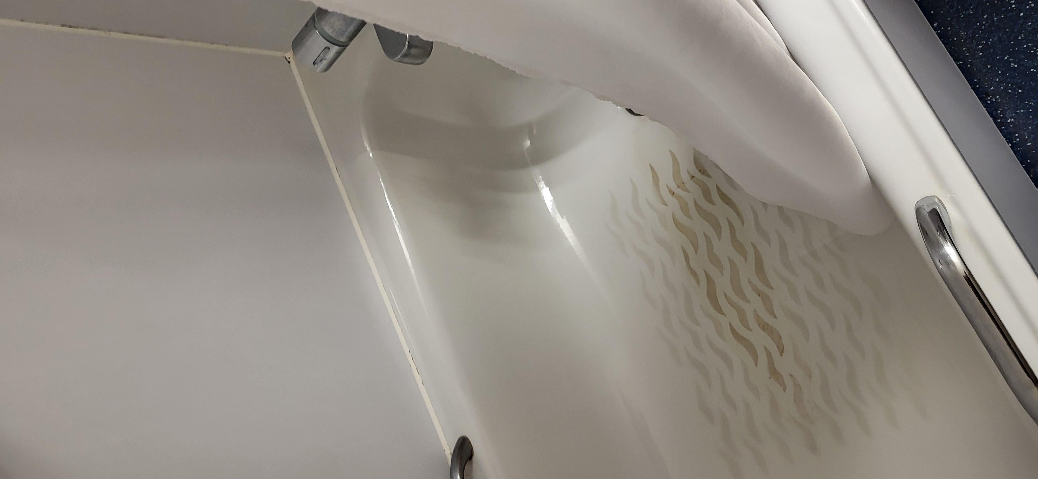 Shower... cleaner not having one!