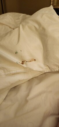 New room soiled comforter we didn’t find until morning :(