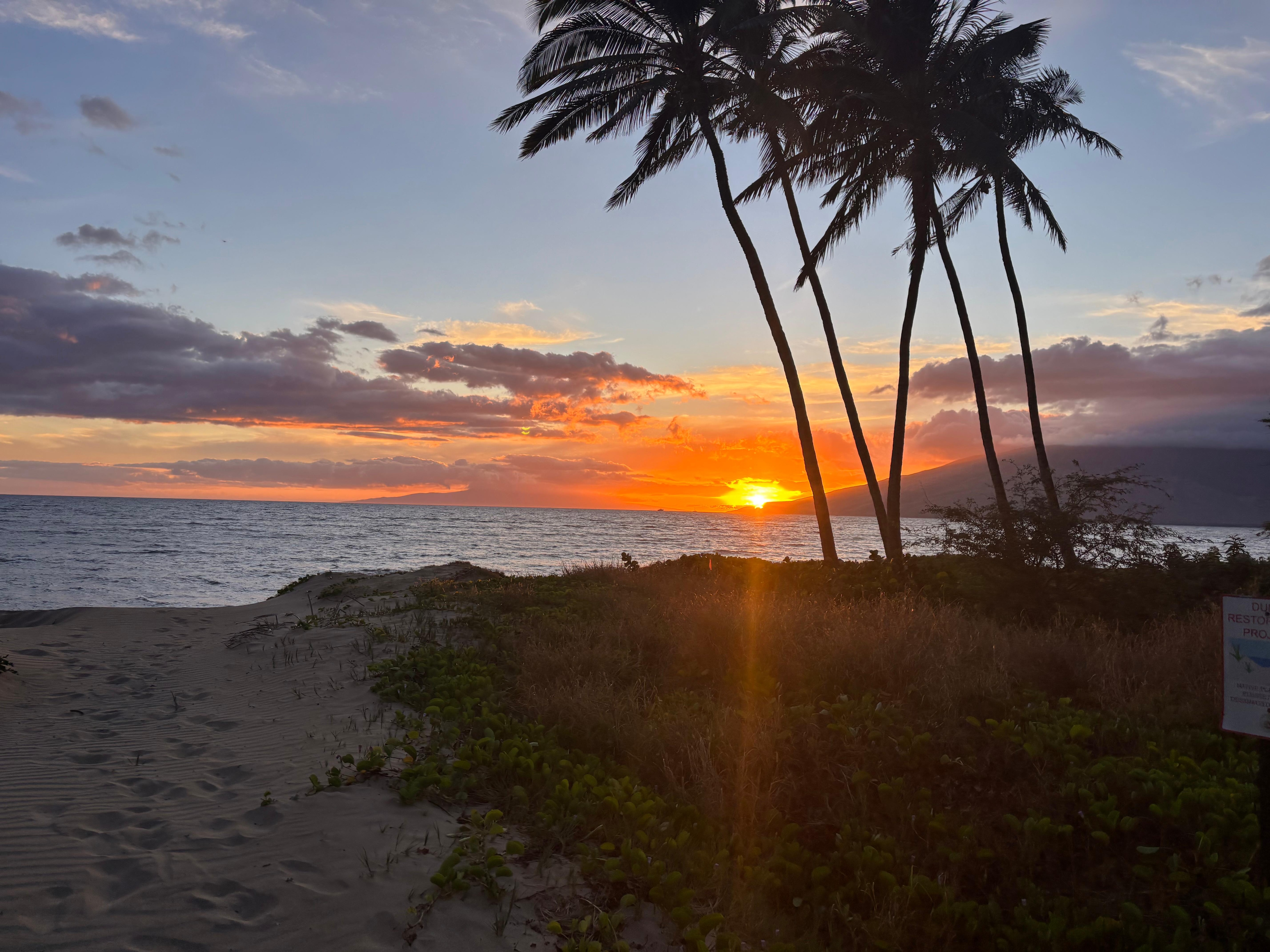 Beach sunset by house. 