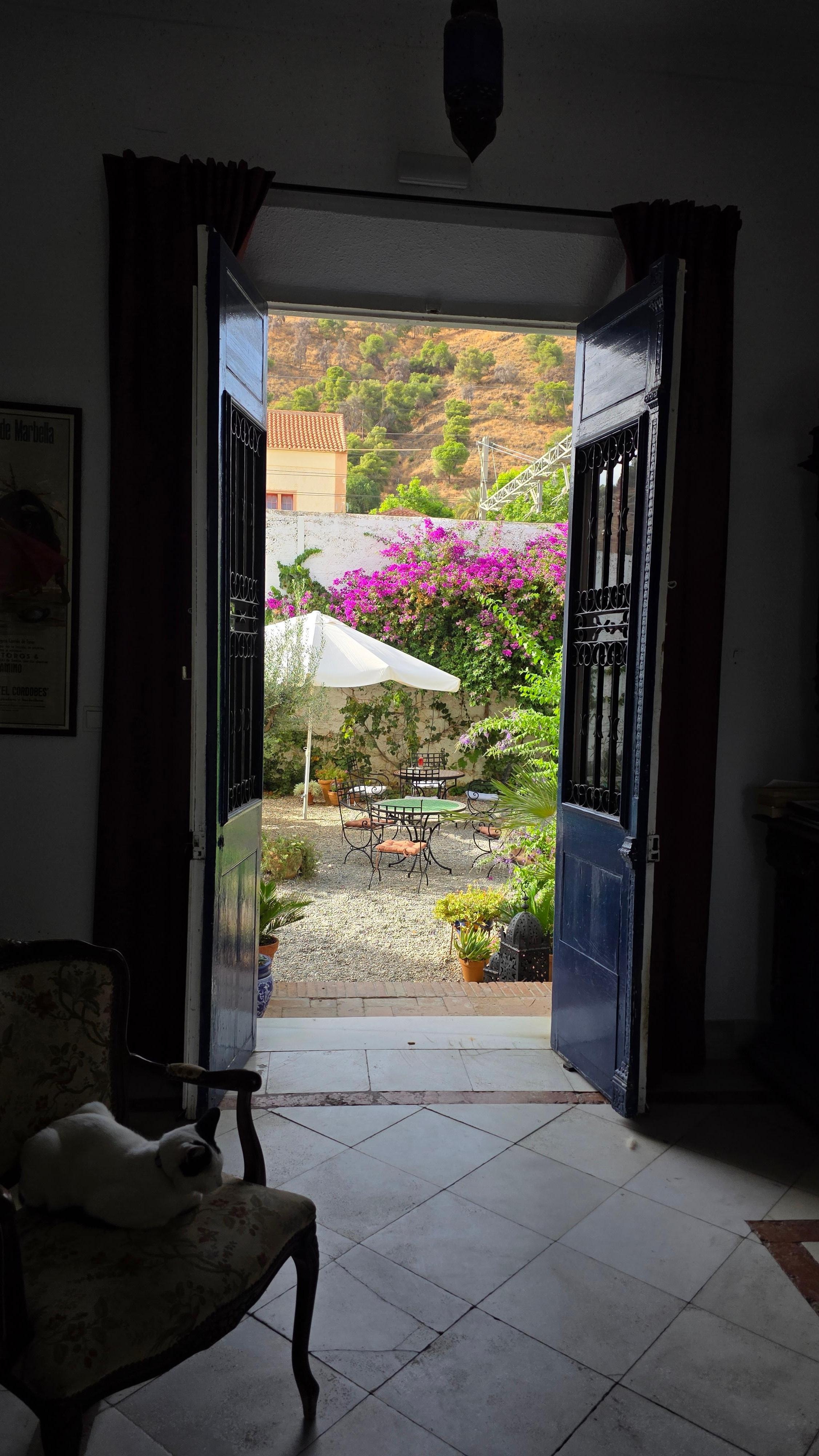 Looking out to the garden where we had breakfast