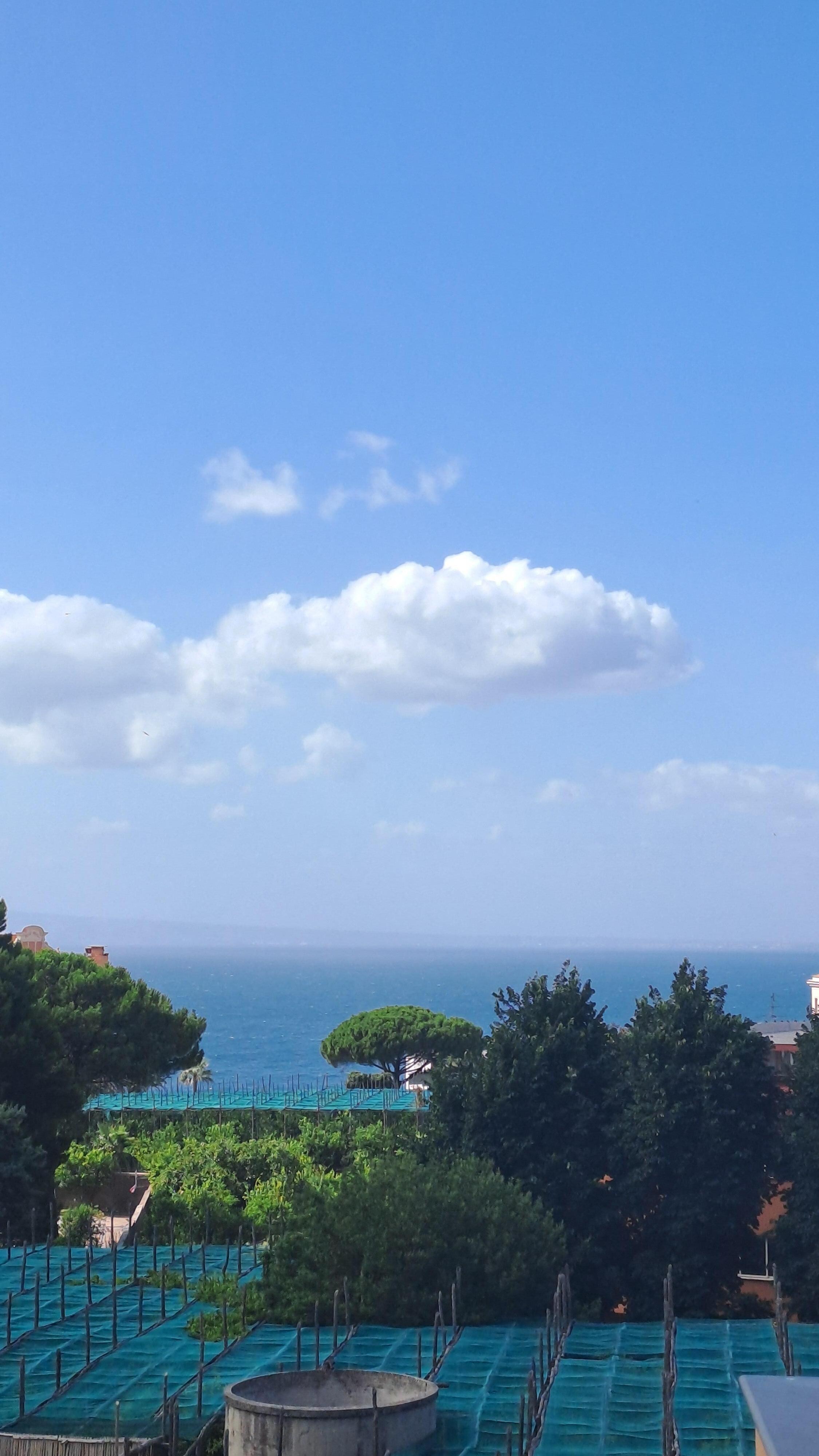 View from the bar