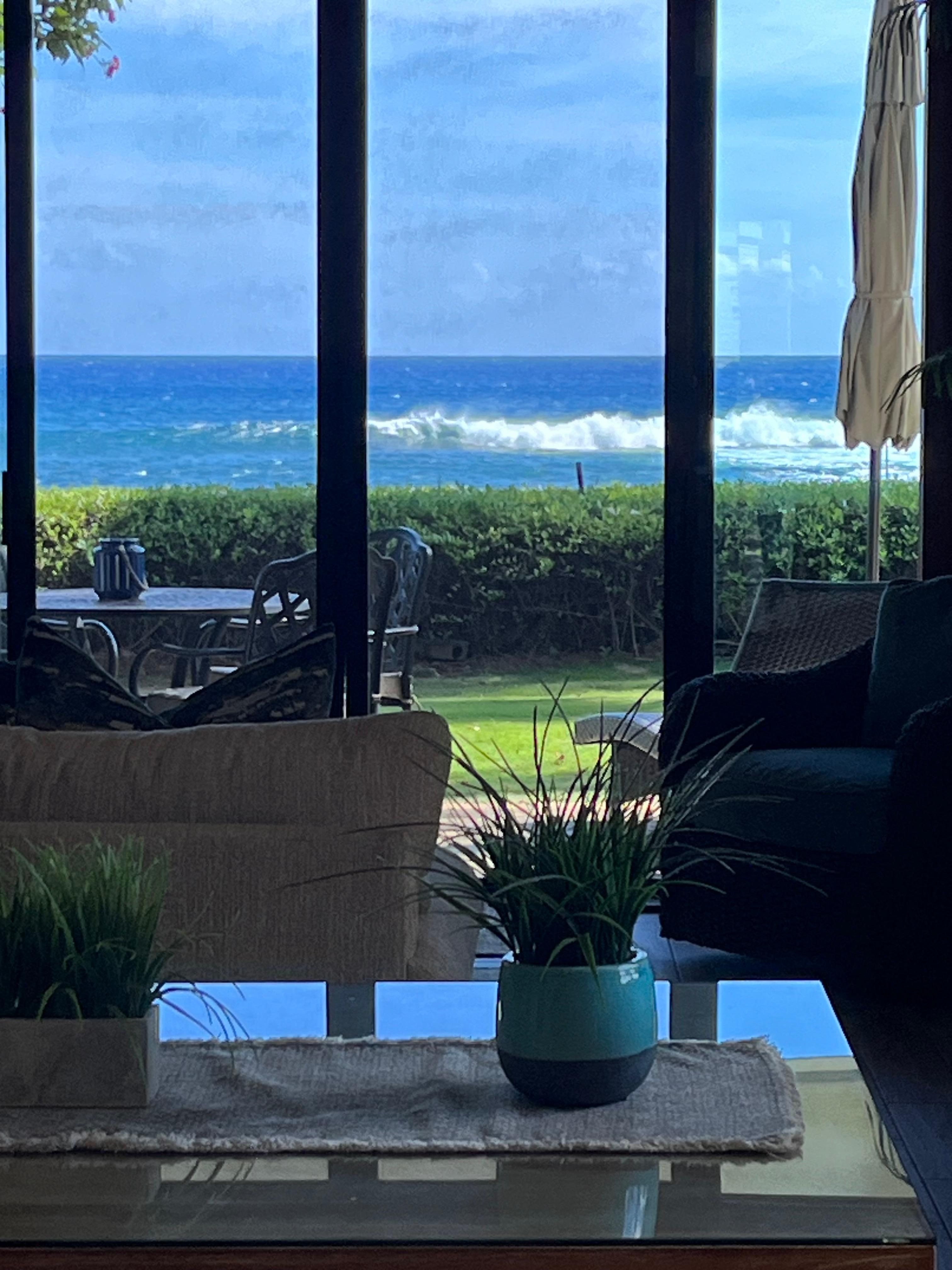 View from the living area.