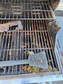 Rusted out grill with hornet nest