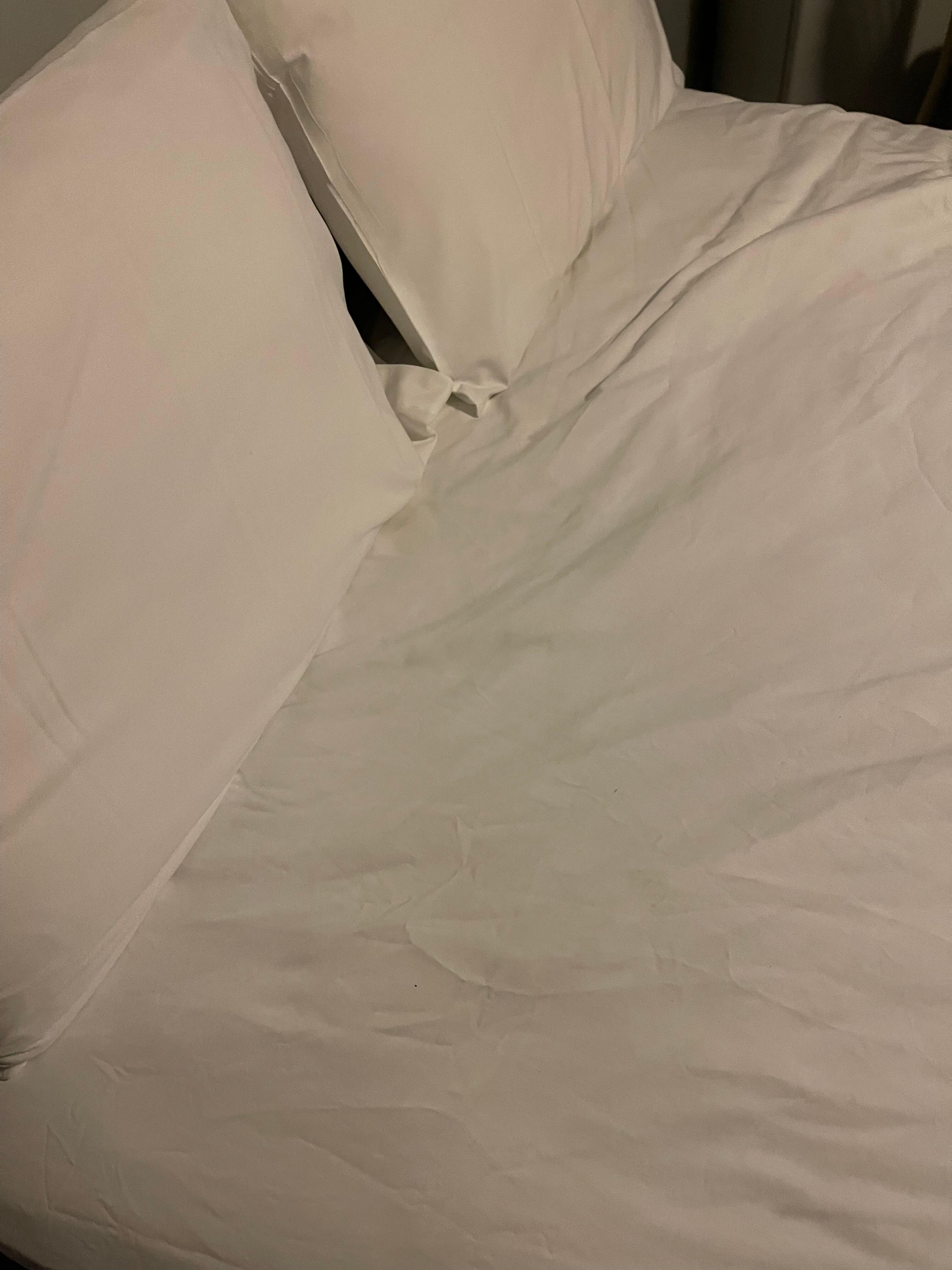 Stains sheets was never cleaned for anybody