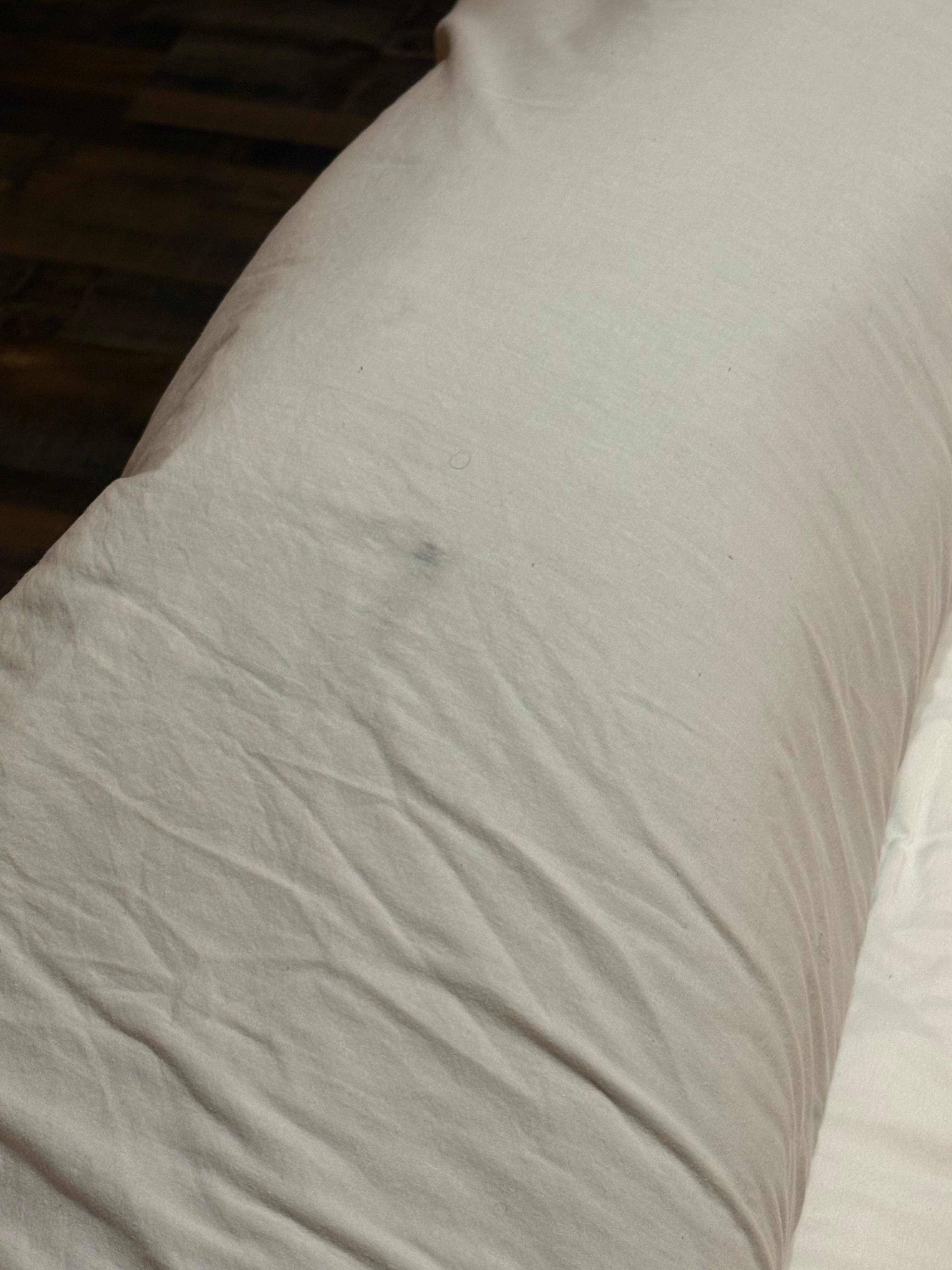 Body Hair, makeup smudges, recent unwashed stains on Sheets.