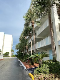 Beautiful landscaping